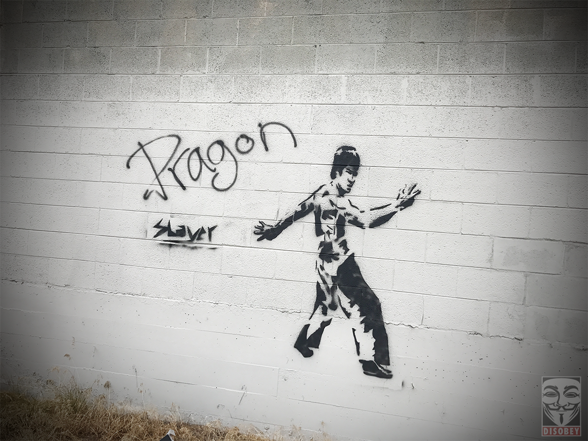Bruce Lee - Dragon Slayer